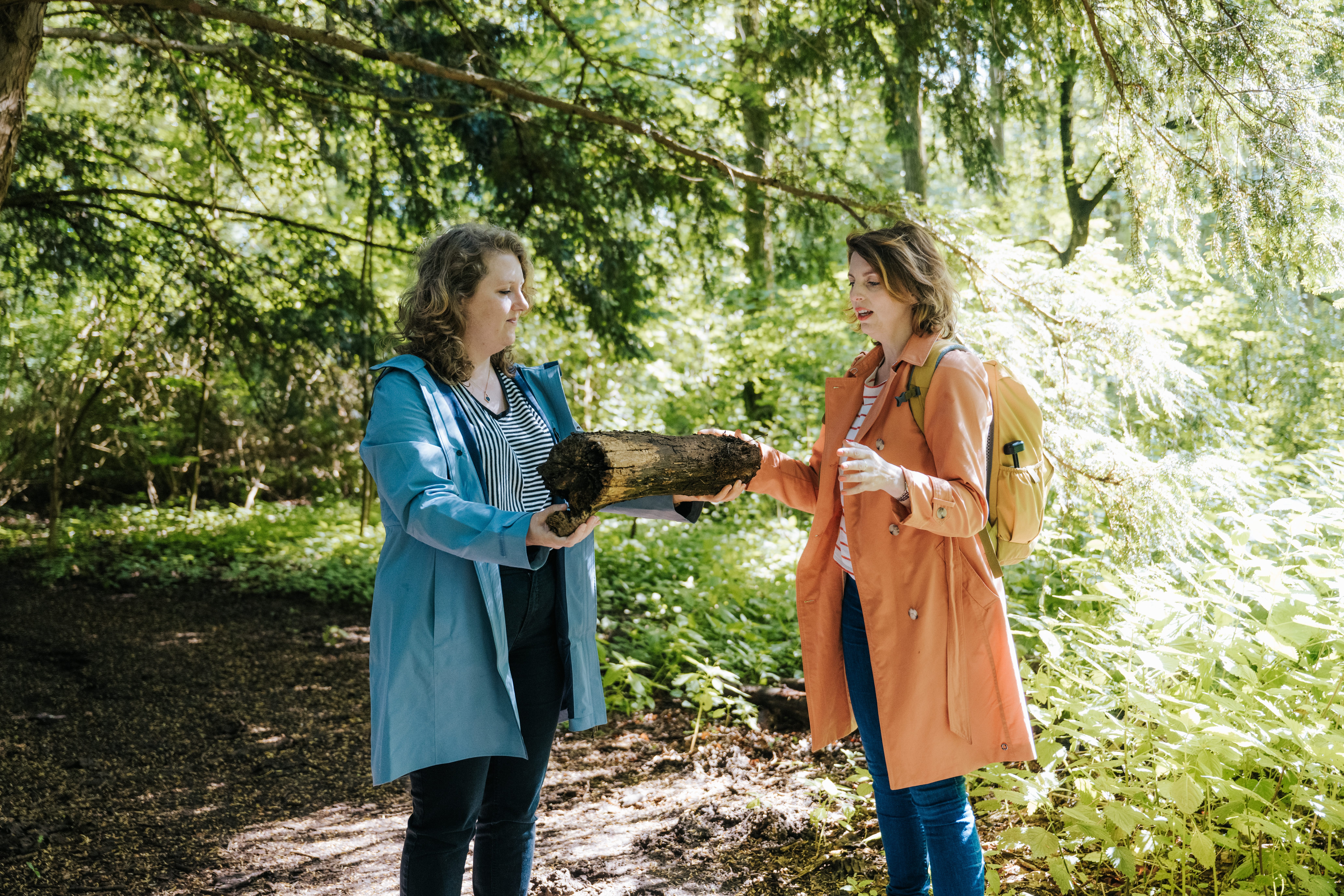 Metaforisch werken met ACT in de natuur.
